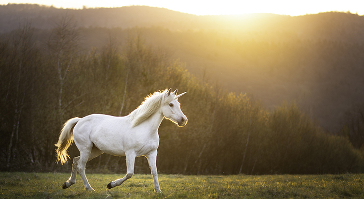 20230530-todays-real-estate-market-the-unicorns-have-galloped-off
