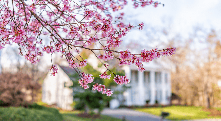 20250414-4-Ways-To-Make-an-Offer-That-Stands-Out-This-Spring-original