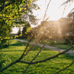 4 Ways To Give Your Offer an Edge This Spring